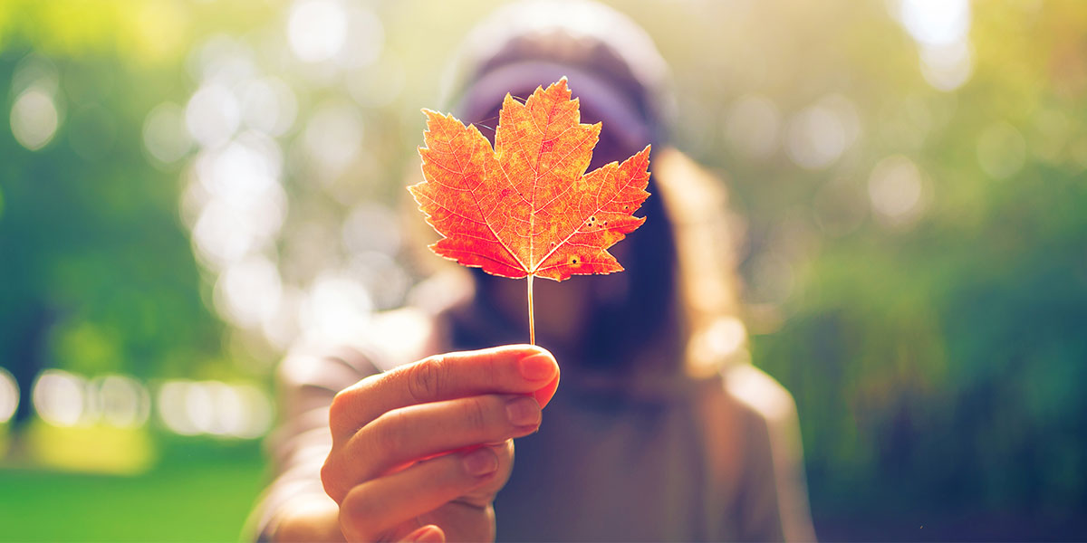 7 reasons to love living in Canada