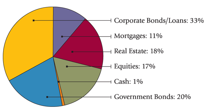 Policyholder dividend information