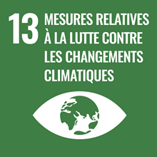 #13 Climate action