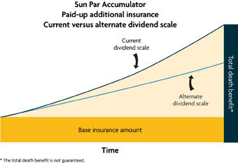 Sunlife life insurance policy